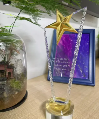 Top 2 Global Service 2017 — Game On Group Award