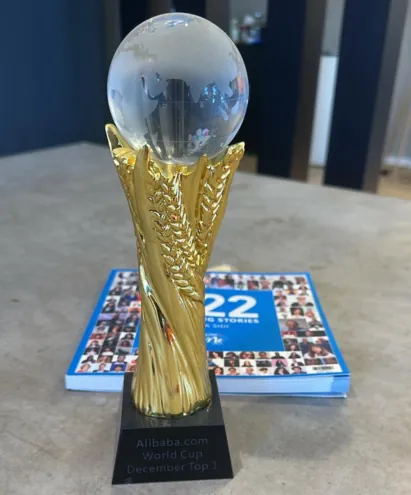 Alibaba Best Service World Cup — Game On Group Award