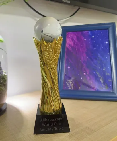 Alibaba World Cup — Game On Group Award