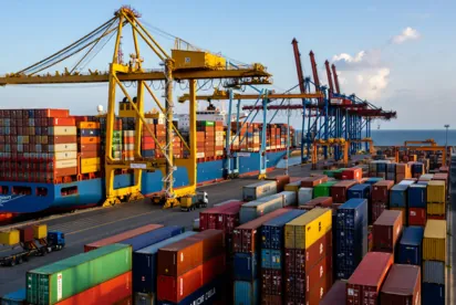 Sea Freight — Game On Group Shipping
